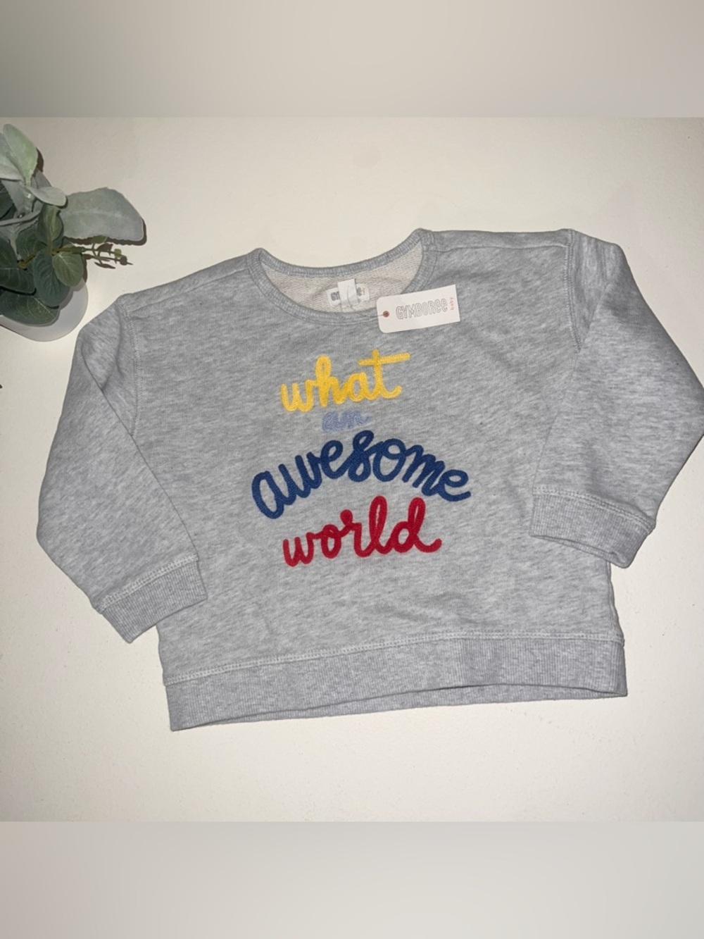 sweatshirt